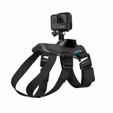 Load image into Gallery viewer, GoPro Fetch (Dog Harness) All GoPro Camera